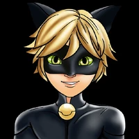 chat noir