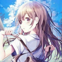 Y/n
