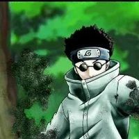 Shino Aburame