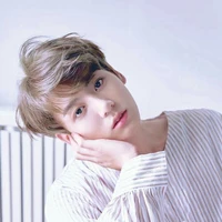 Jung Alvabert Jungkook Jeon {JK}