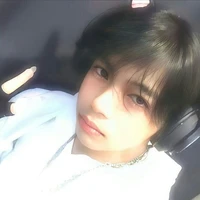 lucas domut