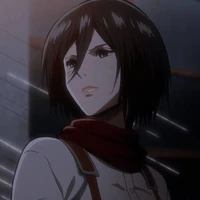 Mikasa