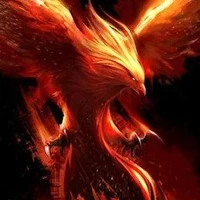 Phoenix api