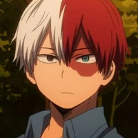 shoto todoroki