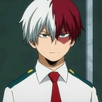 Shoto todoroki