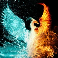 Phoenix ( FL Magic Creatures and)