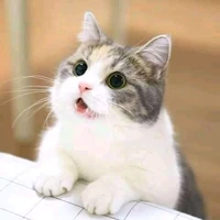 gata