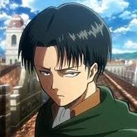levi