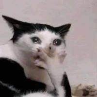 𝓔𝓾