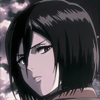 mikasa