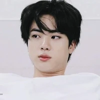 kim seokjin