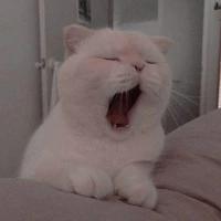 ยูซุ😾