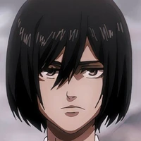 Mikasa