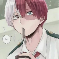 Shoto Todoroki