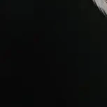 todos