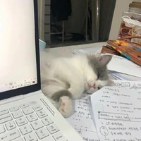 อยากมีเเฟนเป็นเธอว์😿🤍