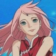 Sakura💓🌸