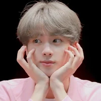 seokjin(jin)