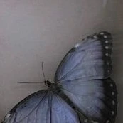 Unknown