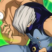 Mezo shoji