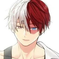 Shoto Todoroki