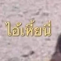 แอดเองค้าบบ