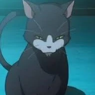 katze(cat)