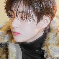 Kim V