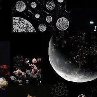 𝐀𝐥𝐥 𝐒𝐢𝐬𝐰𝐚/𝐢