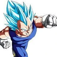 vegeta blue