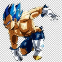 vegeta blue evolute