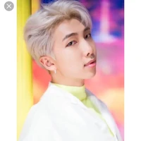 Kim namjoon**