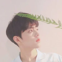 เซียวจ้าน🐇🥬