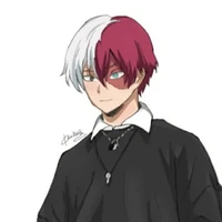 shoto todoroki