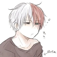 Todoroki