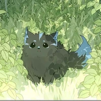 Sinsu