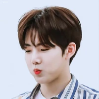 Sean Gevinson (Junkyu)