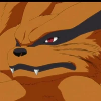 🦊🦊💢