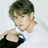 chandra raditya