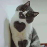 Corazón