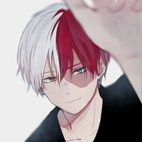 todoroki