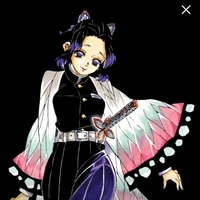 Shinobu Kocho