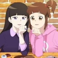 HANI/GENDIS