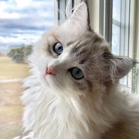 เเอดเองงับบบบ