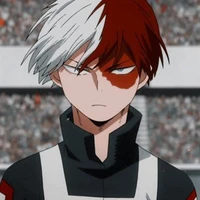 shoto todoroki