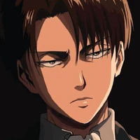 Levi