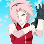 sakura