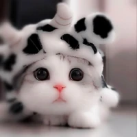 Author>.<
