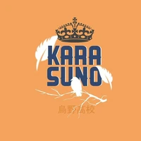 all karasuno