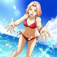 sakura